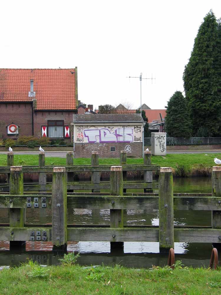 De oevers van het Wilhelminakanaal, Tilburg. foto Merijn Hermsen
