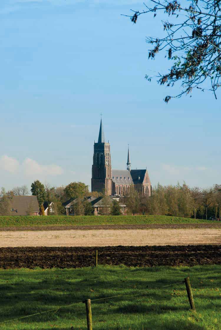 De kerk van Oud Gastel werd eeuwenlang bediend vanuit de Sint-Bernardsabdij. De toren dateert uit de vijftiende eeuw. foto uit besproken boek 